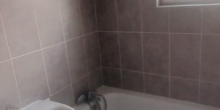20241008_100055
