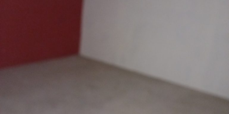 20241118_120123