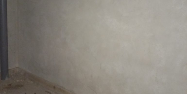 20241212_104253