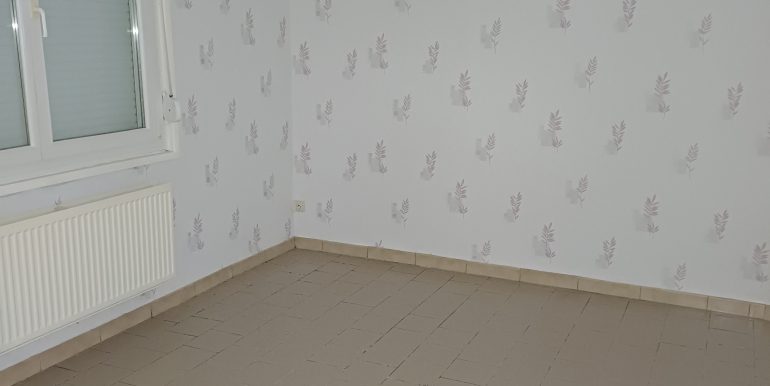20250124_154516
