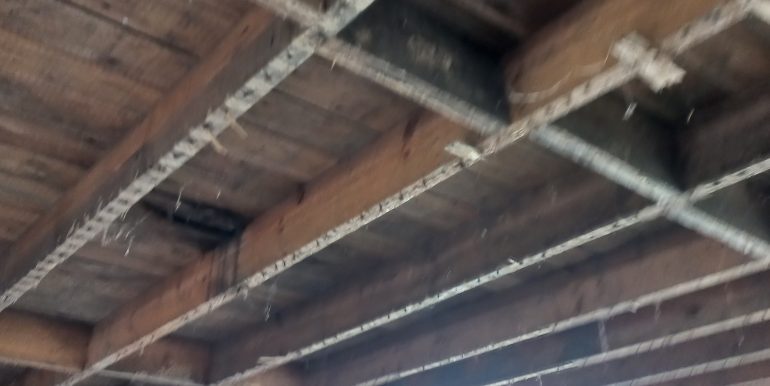 20241002_110620