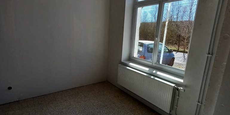20250319_130523-min