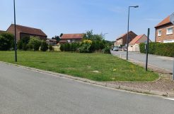 terrain Roost Warendin