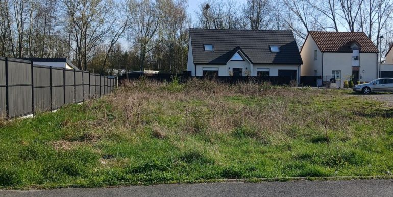 Terrain Roost-Warendin