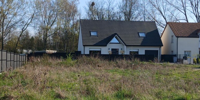 Terrain Roost-Warendin