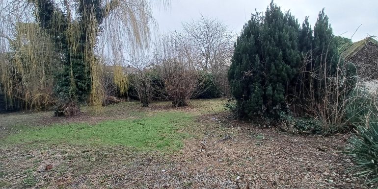 20260219_121854