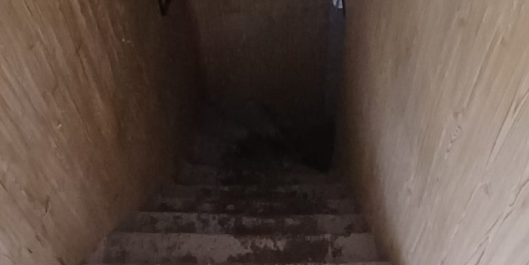 20260317_113631